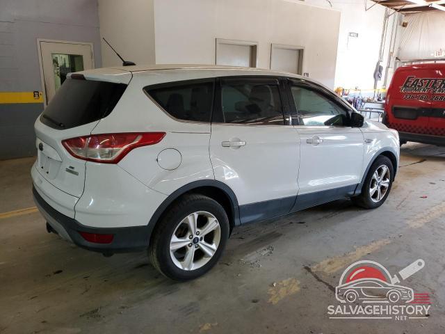 1FMCU0G91EUB02151 2014 FORD ESCAPE photo no. 3