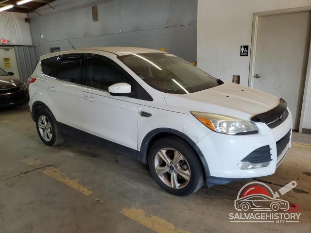 1FMCU0G91EUB02151 2014 FORD ESCAPE photo no. 4