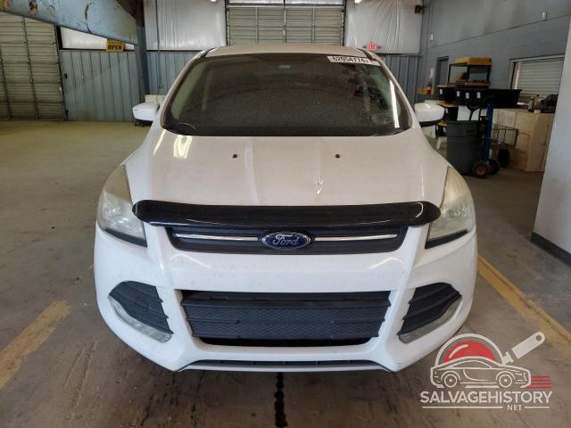 1FMCU0G91EUB02151 2014 FORD ESCAPE photo no. 5