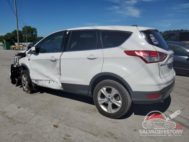 1FMCU0G92EUD45404 2014 FORD ESCAPE photo no. 2
