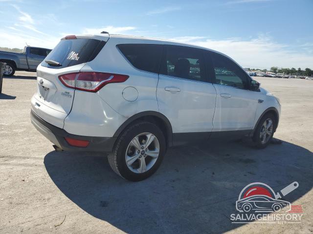 1FMCU0G92EUD45404 2014 FORD ESCAPE photo no. 3
