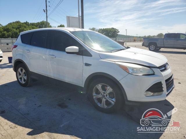 1FMCU0G92EUD45404 2014 FORD ESCAPE photo no. 4