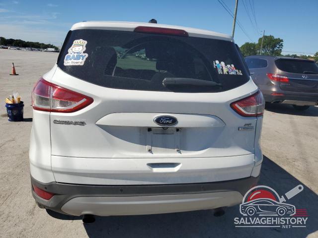 1FMCU0G92EUD45404 2014 FORD ESCAPE photo no. 6