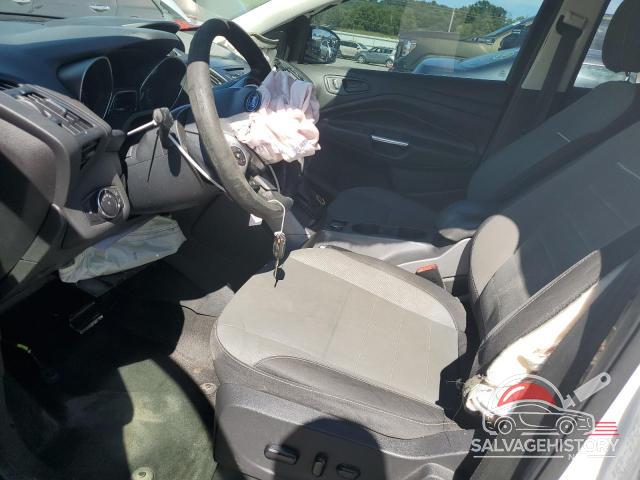 1FMCU0G92EUD45404 2014 FORD ESCAPE photo no. 7
