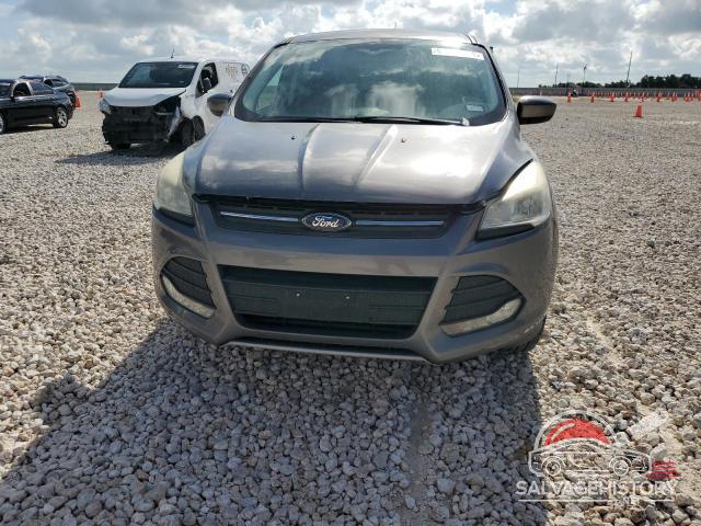 1FMCU0GX3EUC07417 2014 FORD ESCAPE photo no. 5