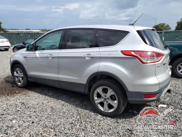 1FMCU0GX4EUA94254 2014 FORD ESCAPE photo no. 2