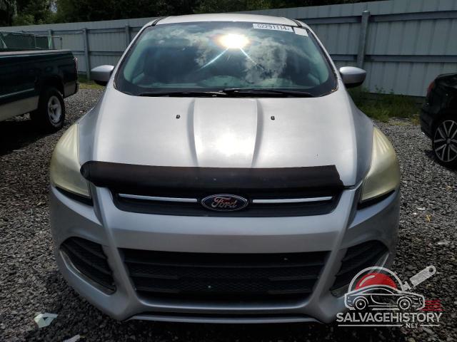 1FMCU0GX4EUA94254 2014 FORD ESCAPE photo no. 5