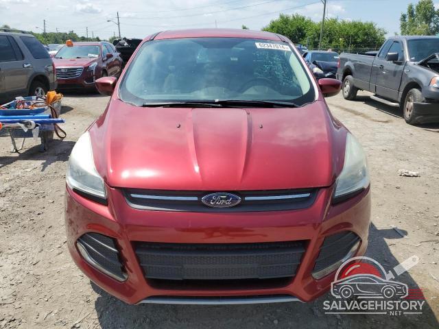 1FMCU0GX5EUE20160 2014 FORD ESCAPE photo no. 5