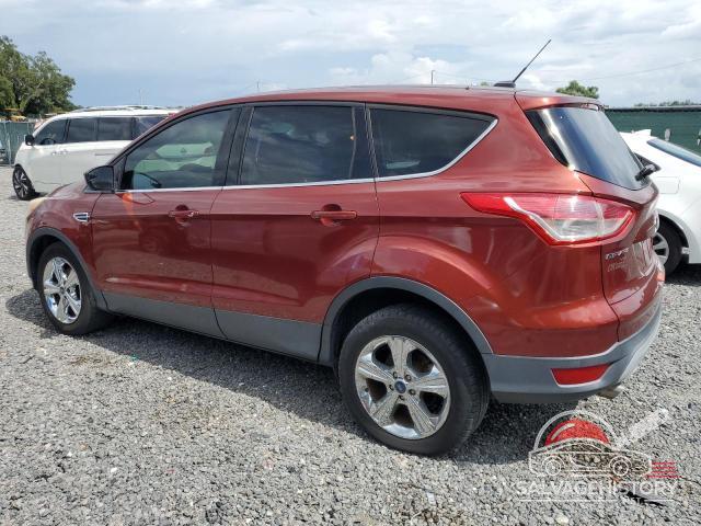 1FMCU0GX7EUA58073 2014 FORD ESCAPE photo no. 2