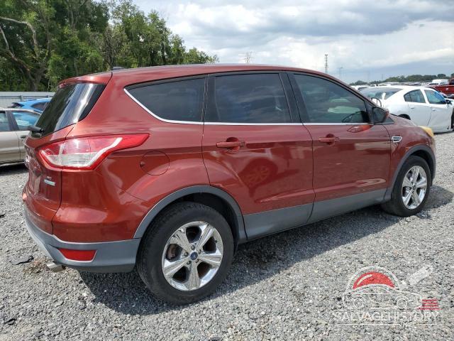 1FMCU0GX7EUA58073 2014 FORD ESCAPE photo no. 3