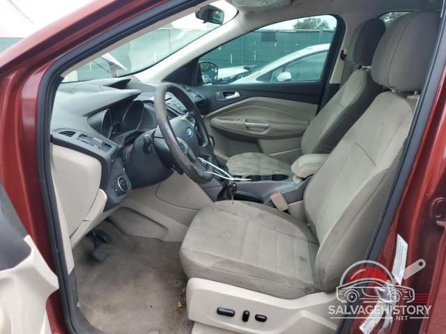 1FMCU0GX7EUA58073 2014 FORD ESCAPE photo no. 7