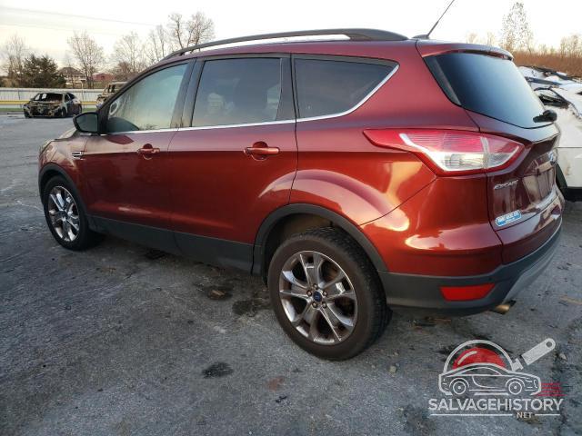 1FMCU0GX9EUB24929 2014 FORD ESCAPE photo no. 2