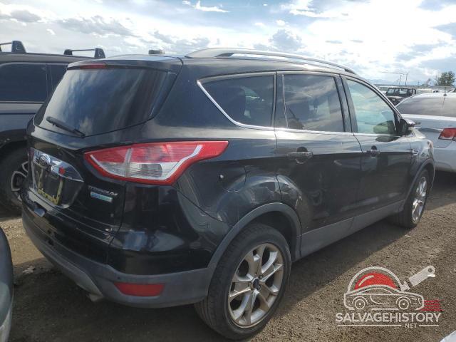1FMCU0J98EUB73677 2014 FORD ESCAPE photo no. 3