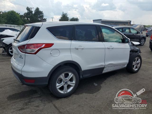 1FMCU0GX8FUA46158 2015 FORD ESCAPE photo no. 3