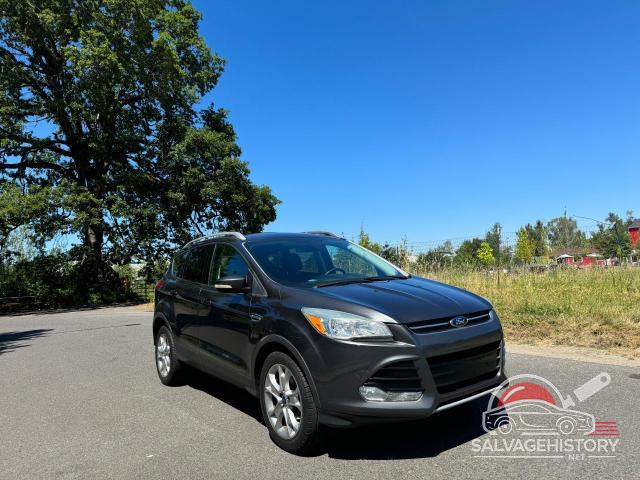 1FMCU0JX6FUA99742 2015 FORD ESCAPE photo no. 2