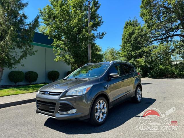 1FMCU0JX6FUA99742 2015 FORD ESCAPE photo no. 2