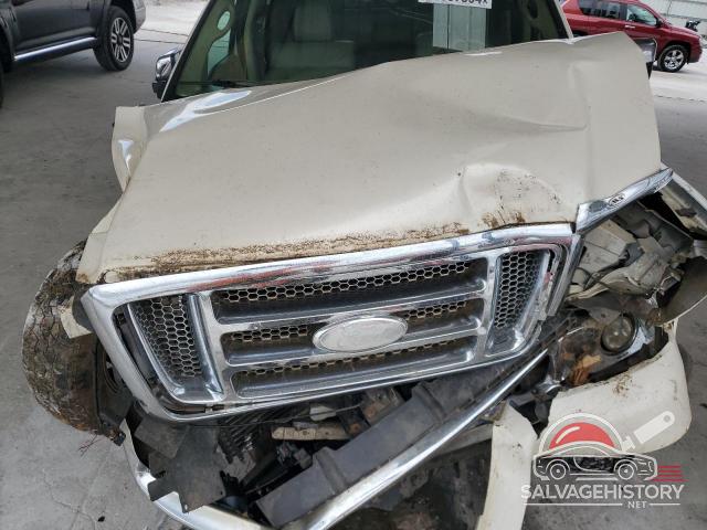 1FTPW14V07FA69058 2007 FORD F-150 photo no. 11