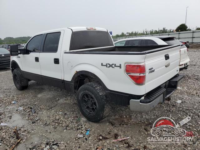 1FTFW1EV3AKB60544 2010 FORD F-150 photo no. 2
