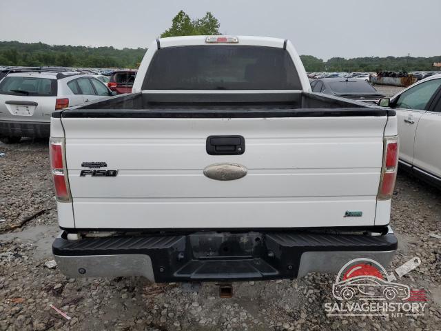 1FTFW1EV3AKB60544 2010 FORD F-150 photo no. 6