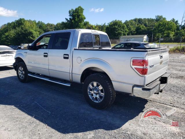 1FTFW1EV4AFD62074 2010 FORD F-150 photo no. 2