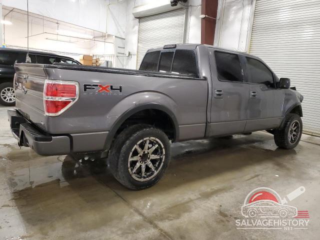 1FTFW1EV9AKE37777 2010 FORD F-150 photo no. 3