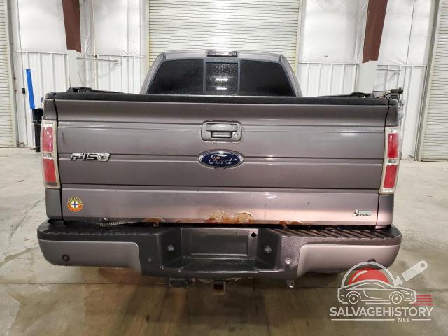 1FTFW1EV9AKE37777 2010 FORD F-150 photo no. 6