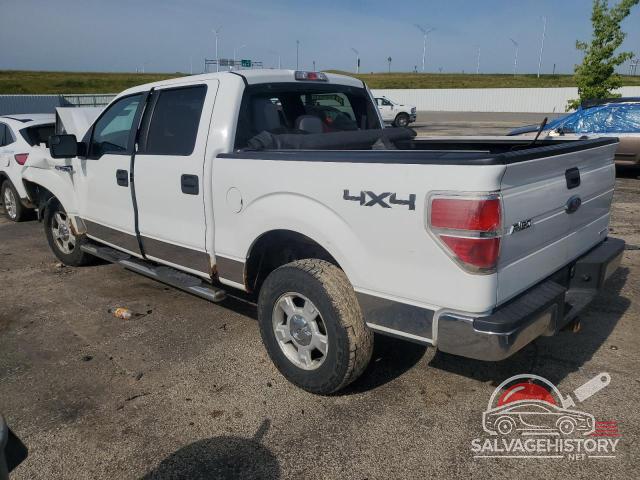 1FTFW1EF9BFA13731 2011 FORD F-150 photo no. 2