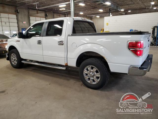 1FTFW1EF0CFA96256 2012 FORD F-150 photo no. 2