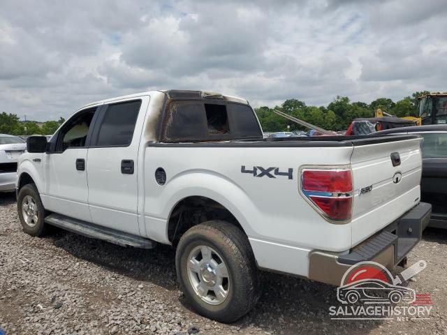 1FTFW1EF2DKE06383 2013 FORD F-150 photo no. 2
