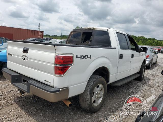 1FTFW1EF2DKE06383 2013 FORD F-150 photo no. 3