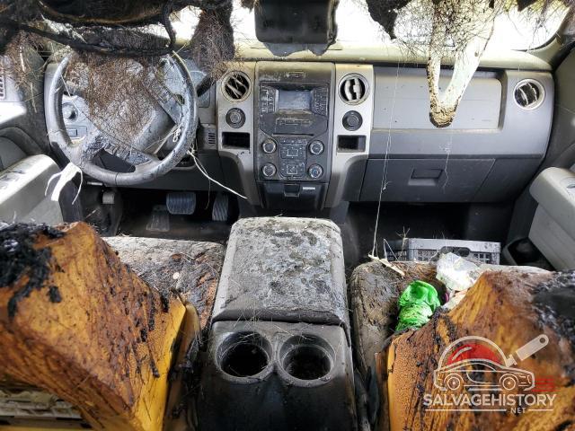 1FTFW1EF2DKE06383 2013 FORD F-150 photo no. 8