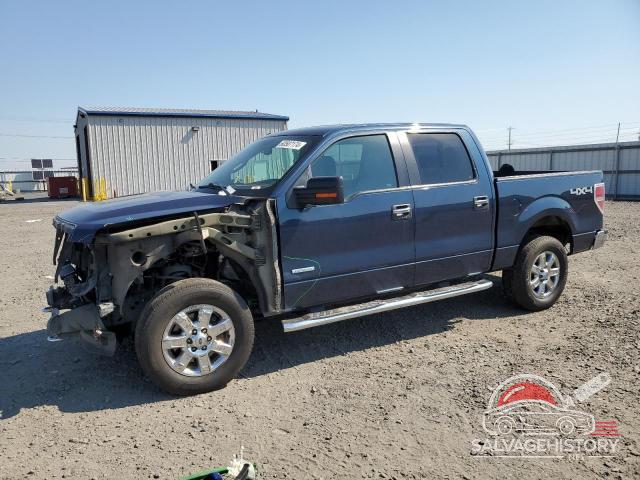 1FTFW1ET9DKD83044 2013 FORD F-150 photo no. 14