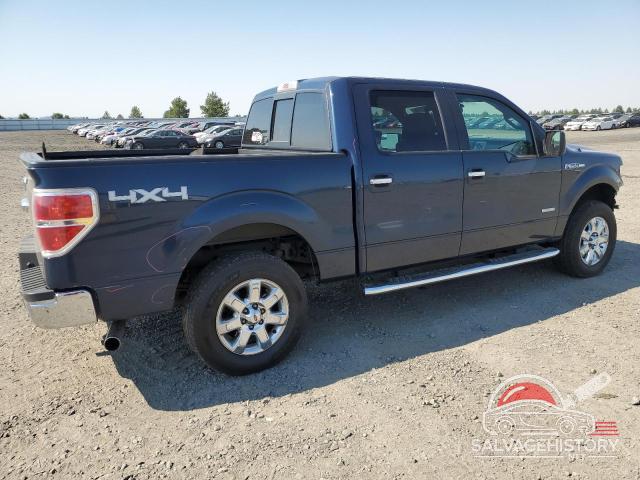 1FTFW1ET9DKD83044 2013 FORD F-150 photo no. 3
