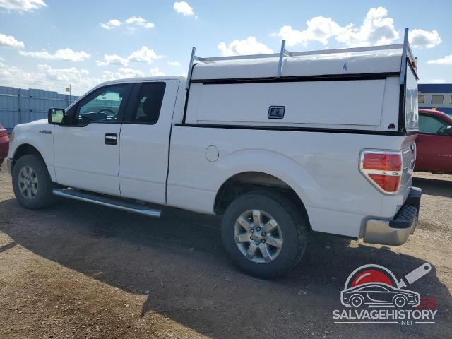 1FTFX1ET7DFC49798 2013 FORD F-150 photo no. 2