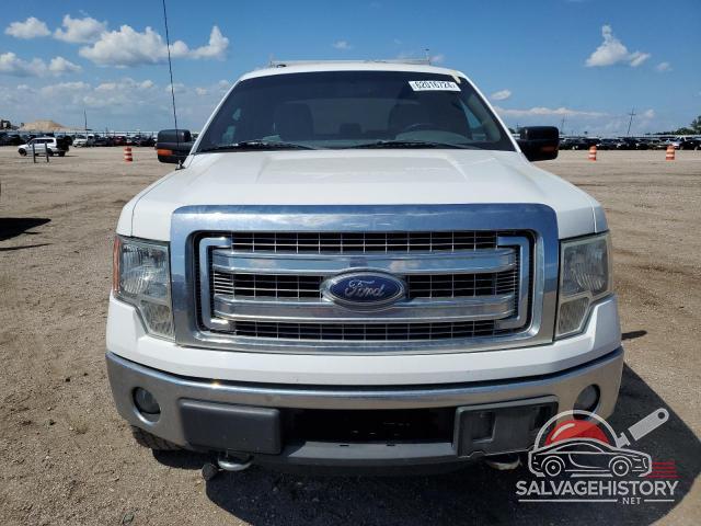 1FTFX1ET7DFC49798 2013 FORD F-150 photo no. 5