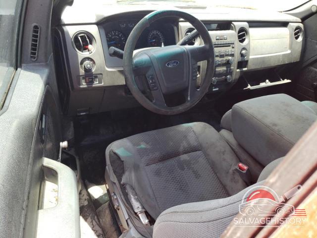 1FTVX1CF0DKF11662 2013 FORD F-150 photo no. 8
