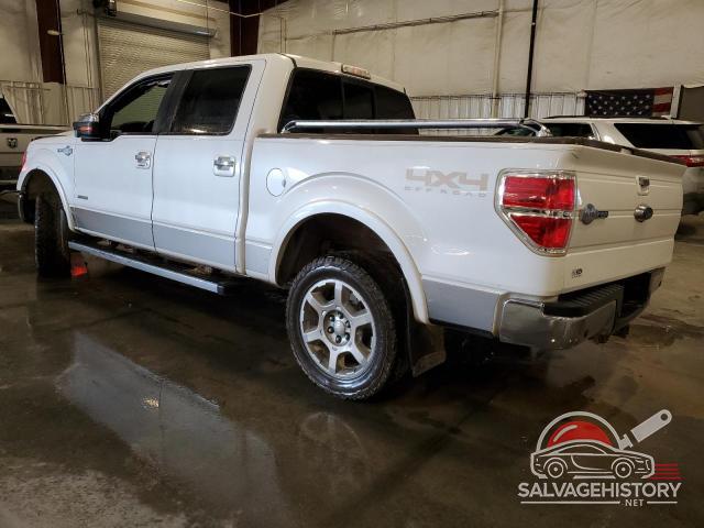 1FTFW1ET8EKD76247 2014 FORD F-150 photo no. 2