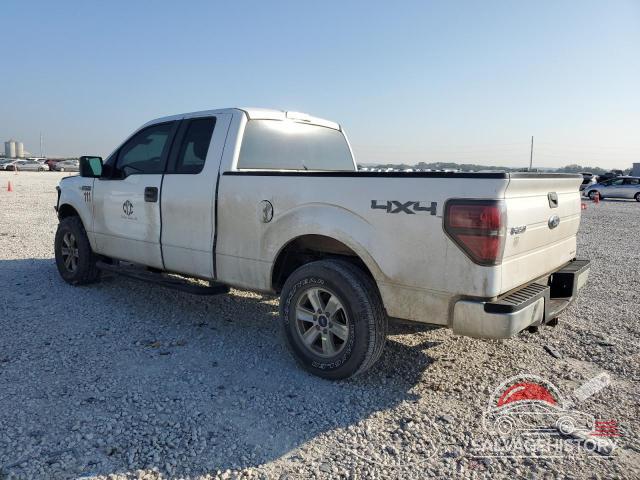 1FTFX1EFXEKF53260 2014 FORD F-150 photo no. 2