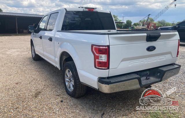 1FTEW1C5XKFC23275 2019 FORD F-150 photo no. 3