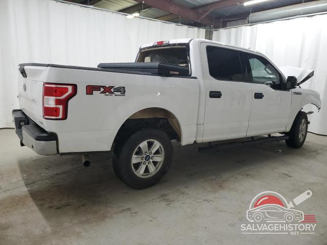 1FTEW1E41KKE51452 2019 FORD F-150 photo no. 3