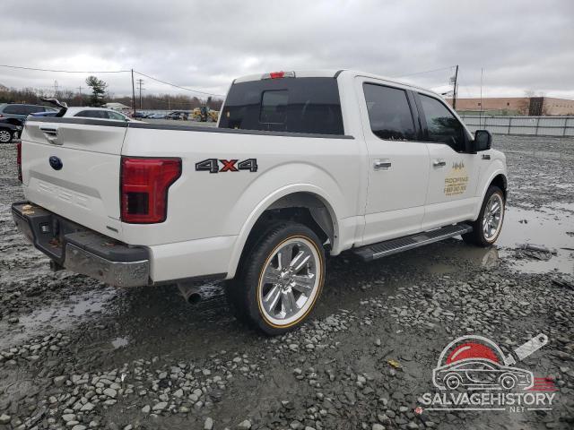 1FTEW1E4XKFD24210 2019 FORD F-150 photo no. 3