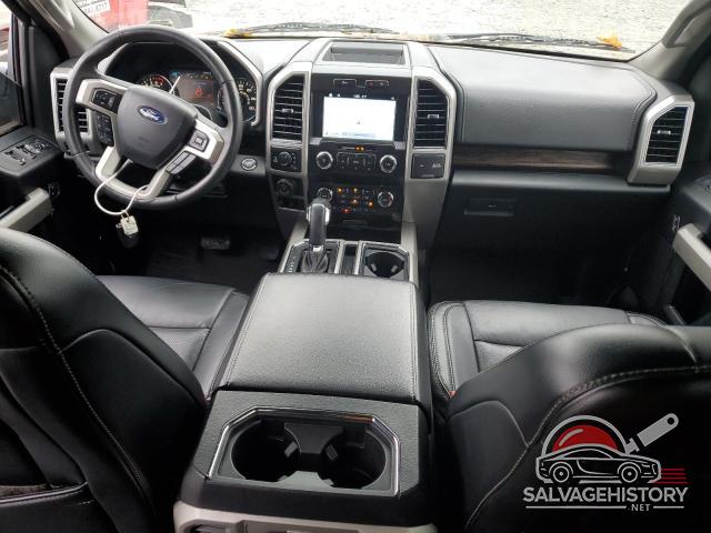 1FTEW1E4XKFD24210 2019 FORD F-150 photo no. 8