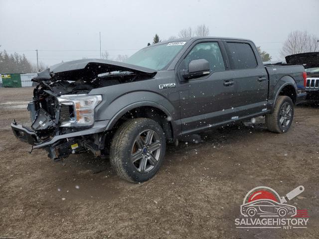 1FTEW1EP2LKF22136 2020 FORD F-150 photo no. 12
