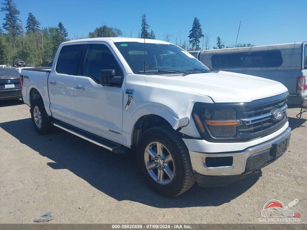 1FTFW3LD7RFA55788 2024 FORD F-150 photo no. 16