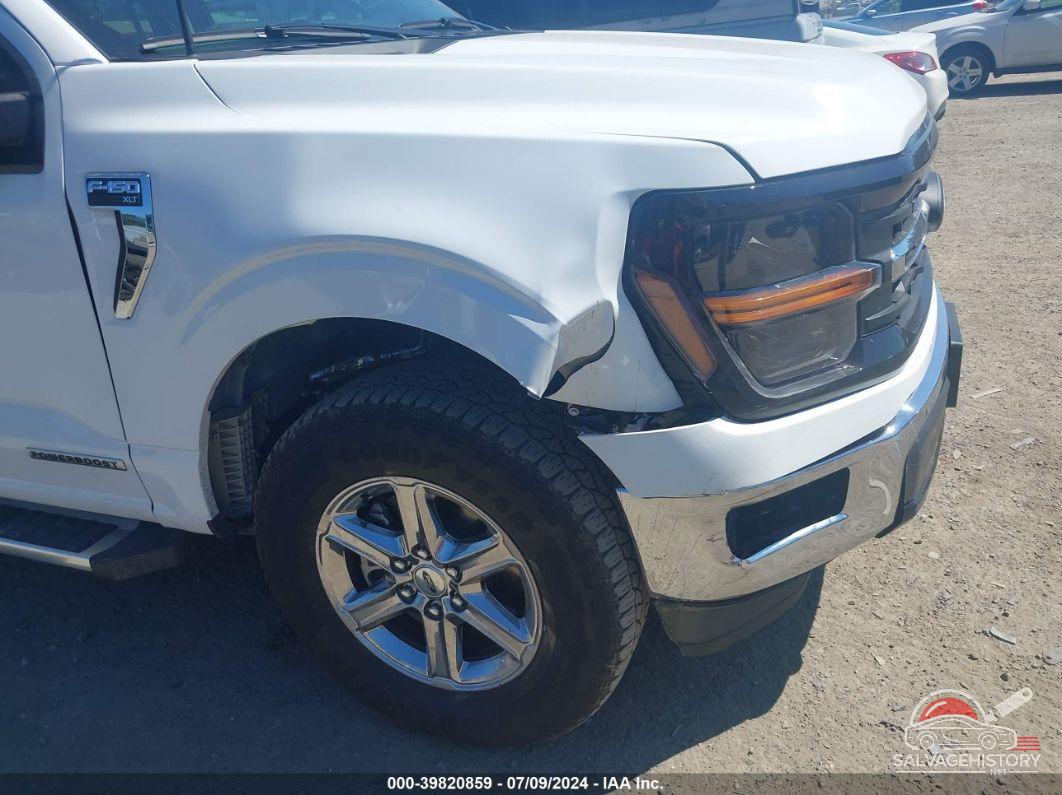 1FTFW3LD7RFA55788 2024 FORD F-150 photo no. 6