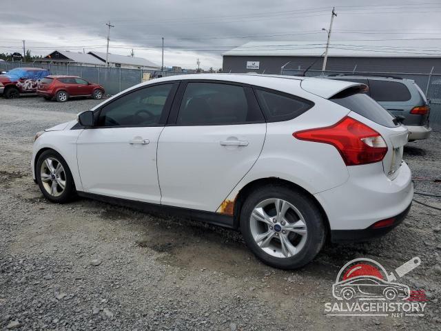 1FADP3K29DL100282 2013 FORD FOCUS photo no. 2