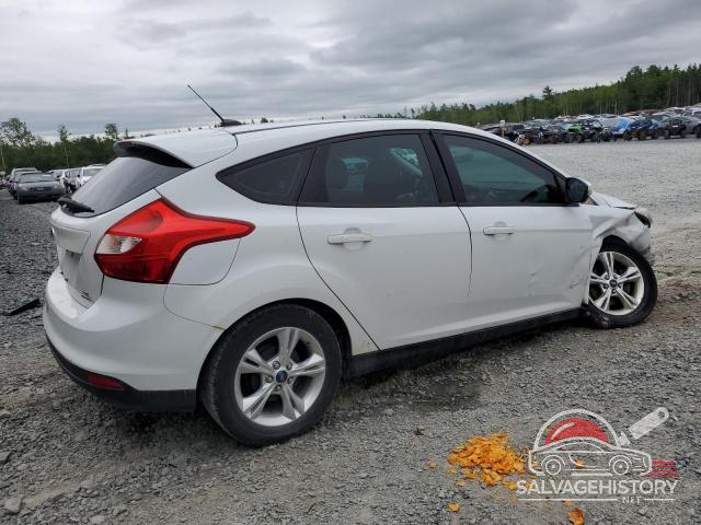 1FADP3K29DL100282 2013 FORD FOCUS photo no. 3