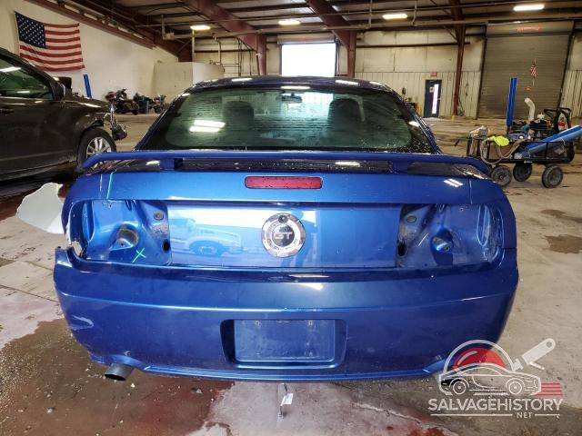 1ZVFT82H065238295 2006 FORD MUSTANG photo no. 6
