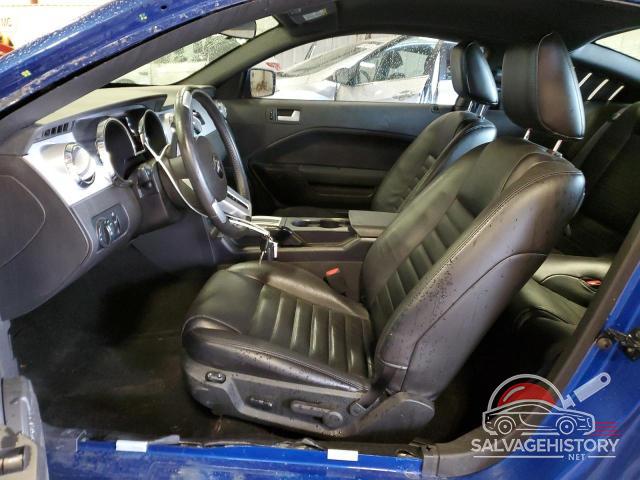 1ZVFT82H065238295 2006 FORD MUSTANG photo no. 7