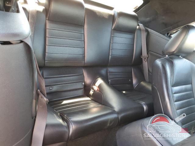1ZVHT85H165250704 2006 FORD MUSTANG photo no. 10